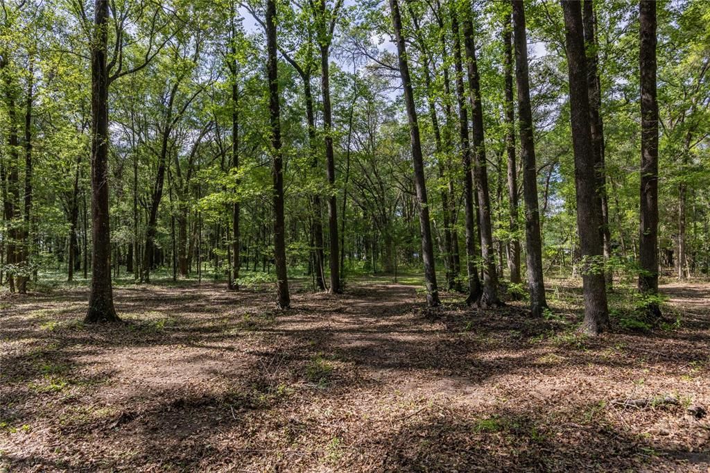 На продажу: $390,000 (4.01 acres)