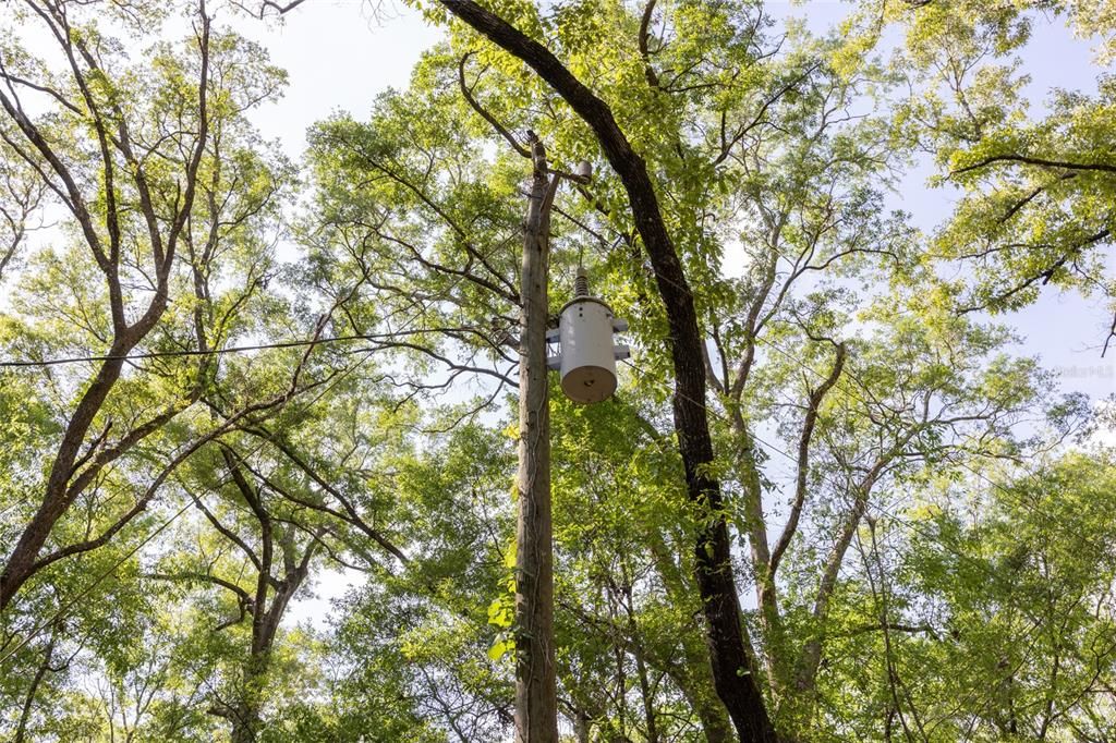 На продажу: $390,000 (4.01 acres)