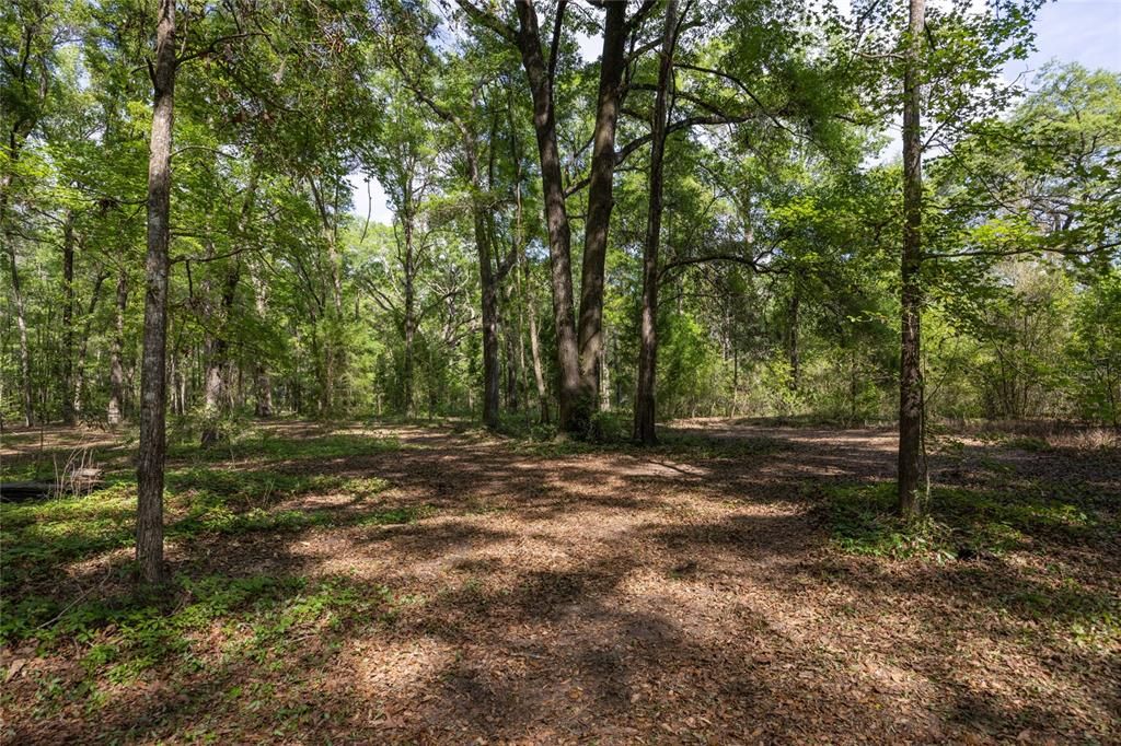 На продажу: $390,000 (4.01 acres)