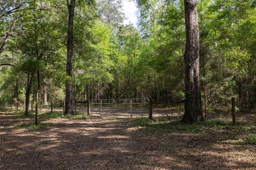 На продажу: $390,000 (4.01 acres)