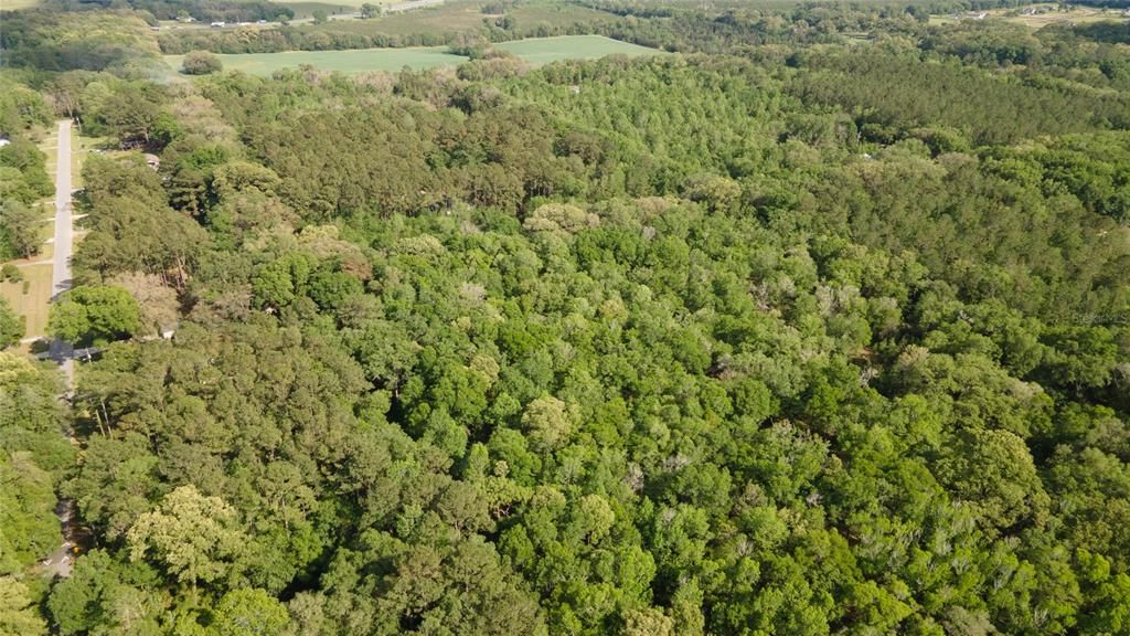 На продажу: $390,000 (4.01 acres)