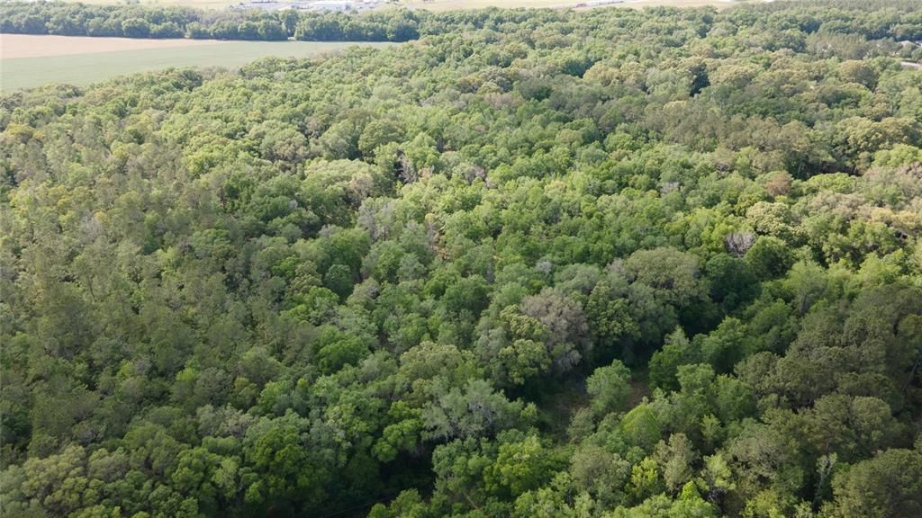 На продажу: $390,000 (4.01 acres)