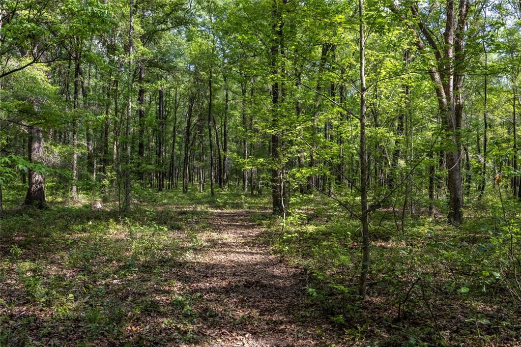 На продажу: $390,000 (4.01 acres)