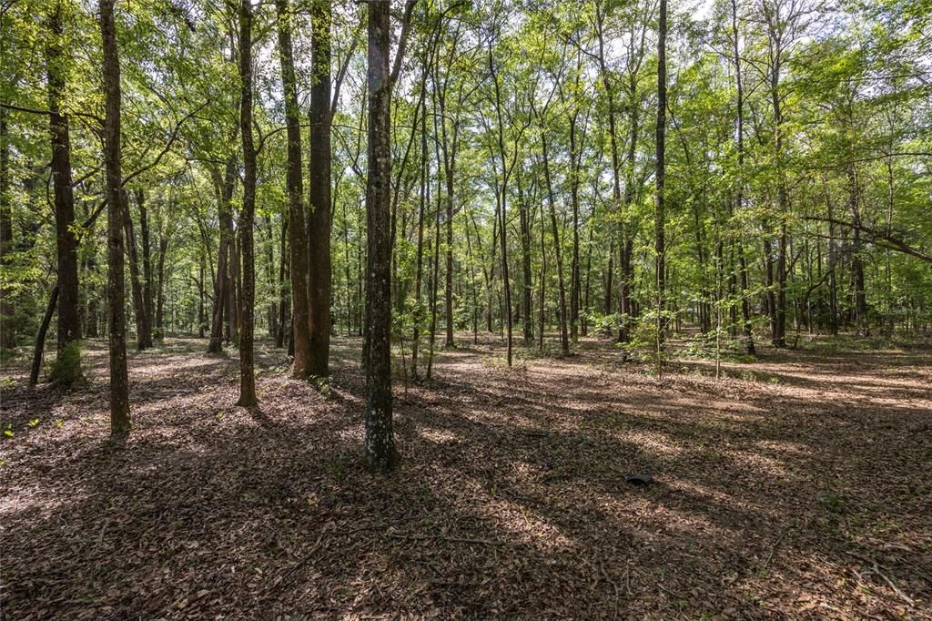 На продажу: $390,000 (4.01 acres)