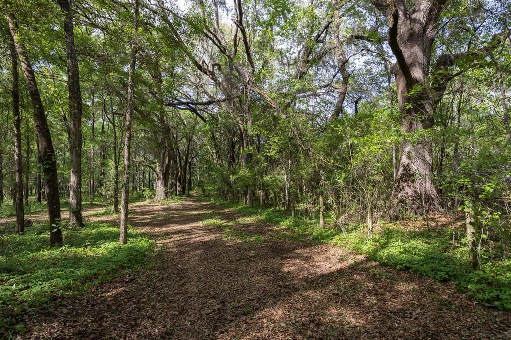 На продажу: $390,000 (4.01 acres)