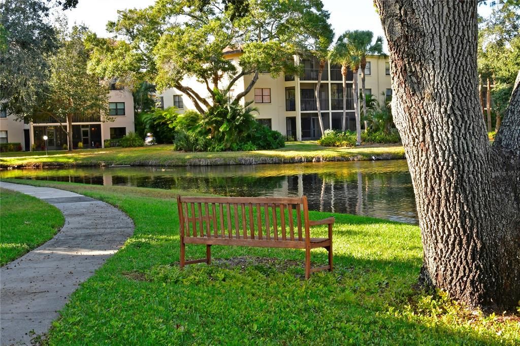 合同活跃: $130,000 (2 贝兹, 2 浴室, 1144 平方英尺)