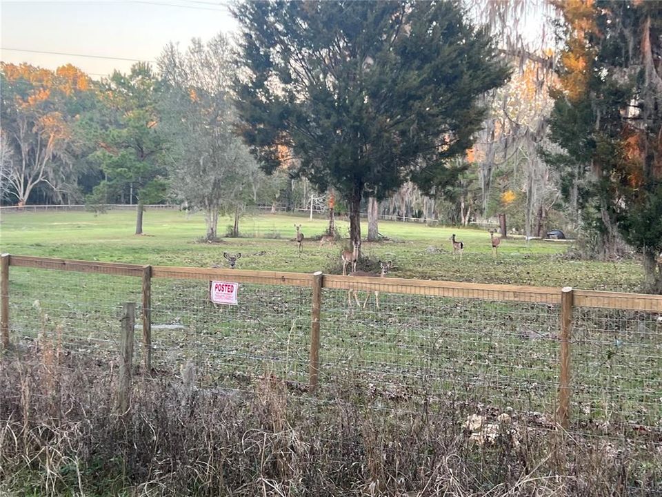 En Venta: $315,000 (10.36 acres)