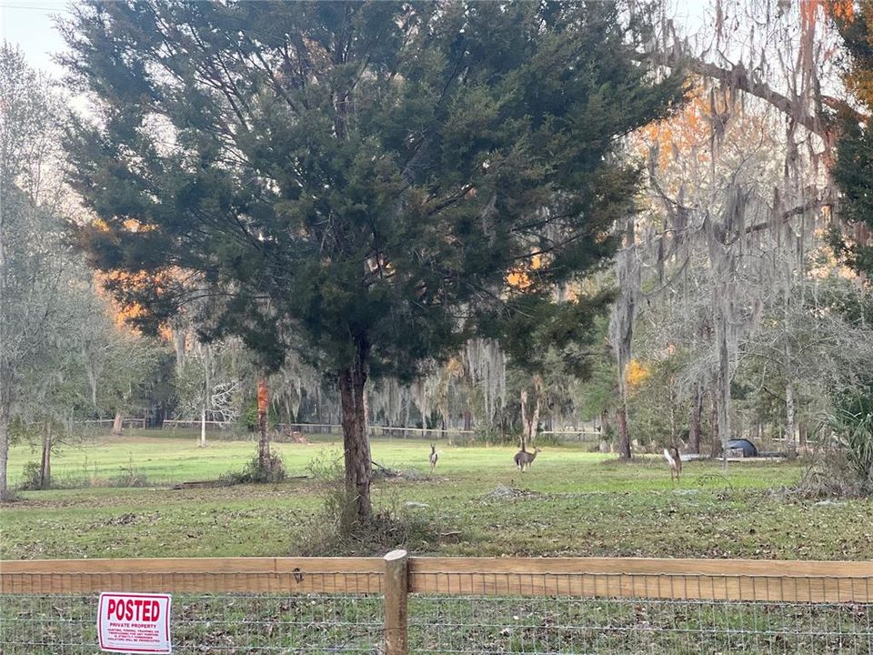 En Venta: $315,000 (10.36 acres)