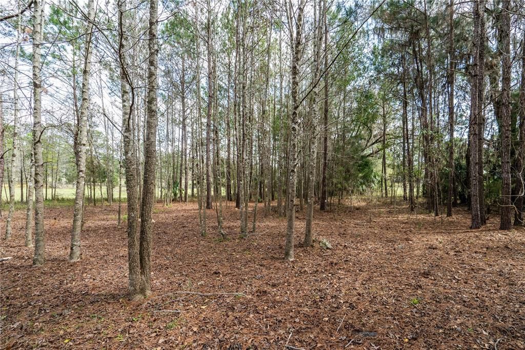 En Venta: $315,000 (10.36 acres)