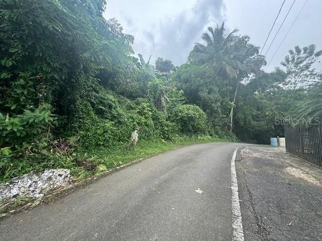 待售: $255,000 (7.35 acres)