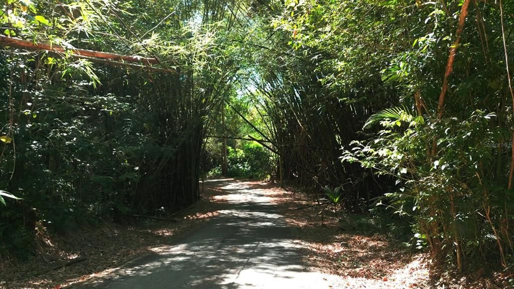 На продажу: $255,000 (7.35 acres)