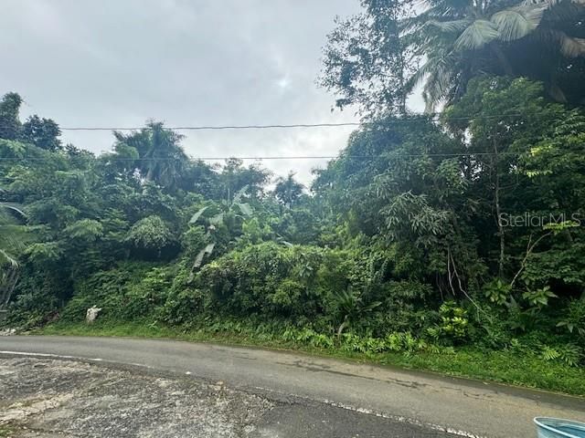 待售: $255,000 (7.35 acres)