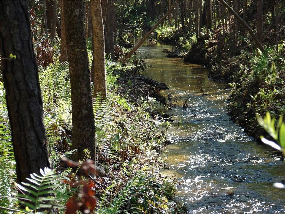 Active With Contract: $222,000 (4.24 acres)