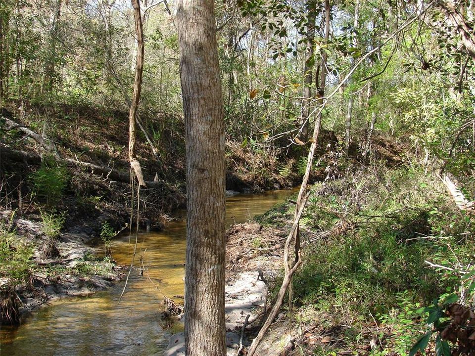 Active With Contract: $222,000 (4.24 acres)