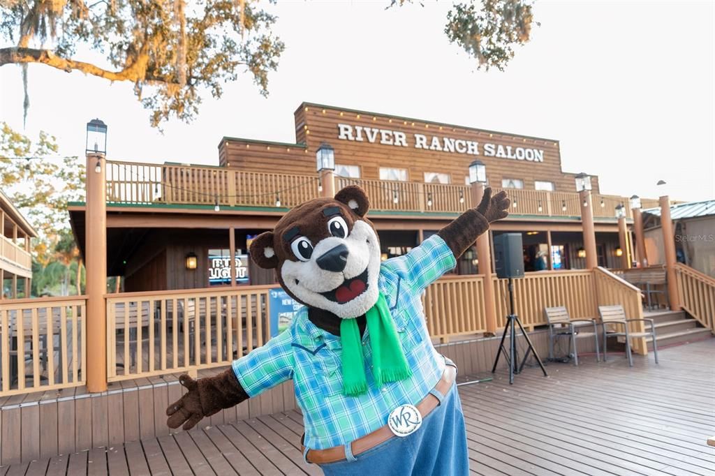 For Sale: $50,000 (0.20 acres)