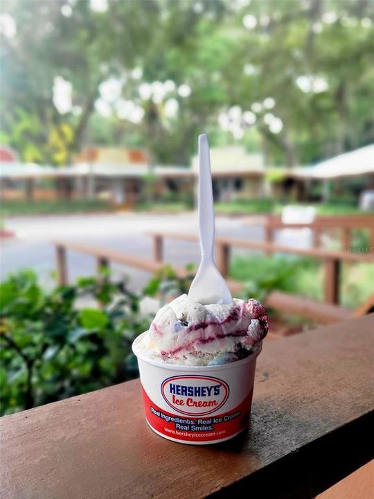 For Sale: $50,000 (0.20 acres)