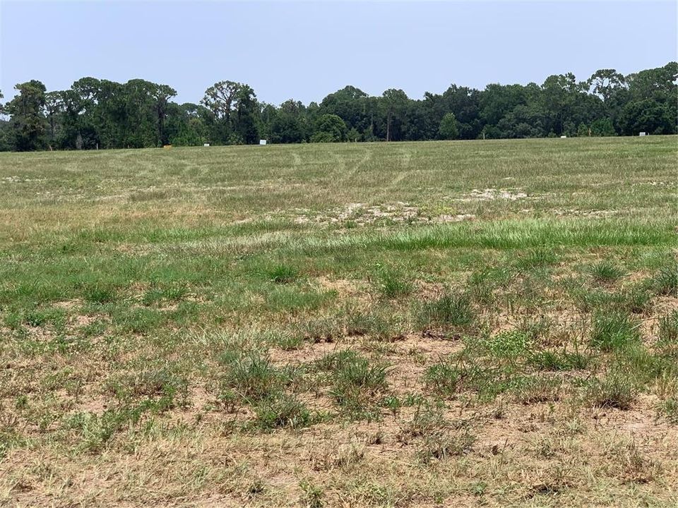 待售: $325,000 (1.56 acres)