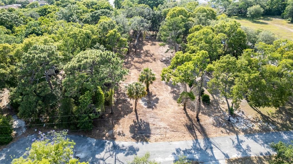 待售: $99,000 (1.00 acres)