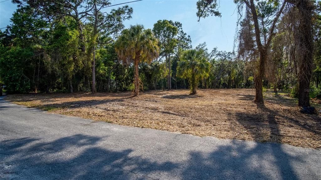 待售: $99,000 (1.00 acres)