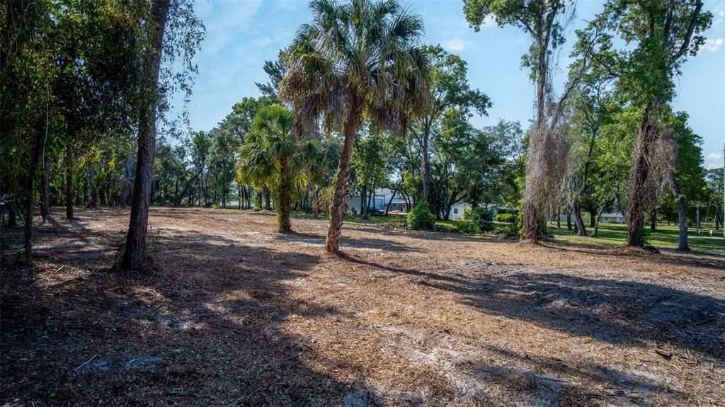 待售: $99,000 (1.00 acres)