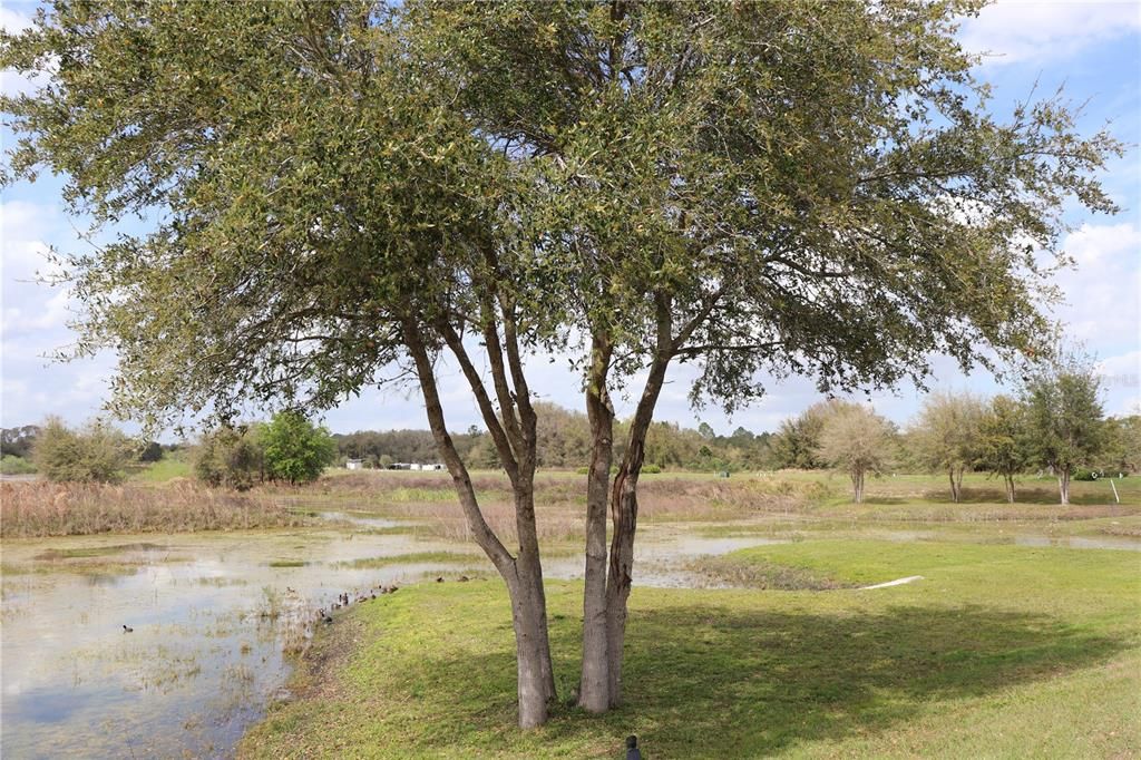 Active With Contract: $119,900 (0.12 acres)