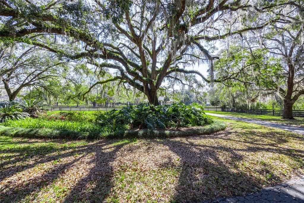 合同活跃: $824,900 (5 贝兹, 4 浴室, 3629 平方英尺)