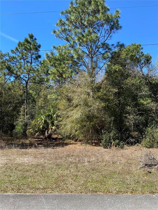 En Venta: $17,500 (0.23 acres)