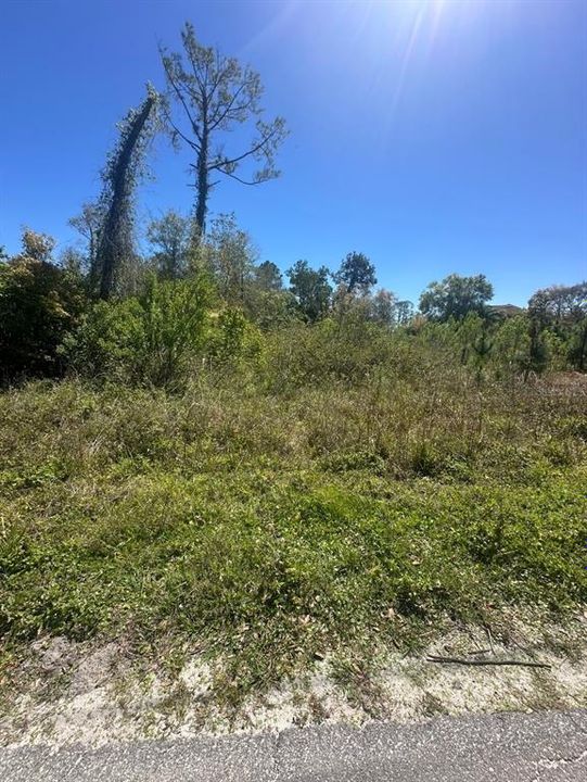 待售: $30,000 (0.46 acres)