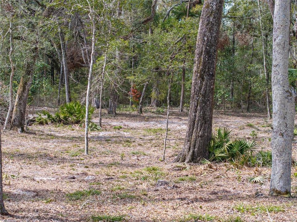 For Sale: $895,000 (1 beds, 1 baths, 400 Square Feet)