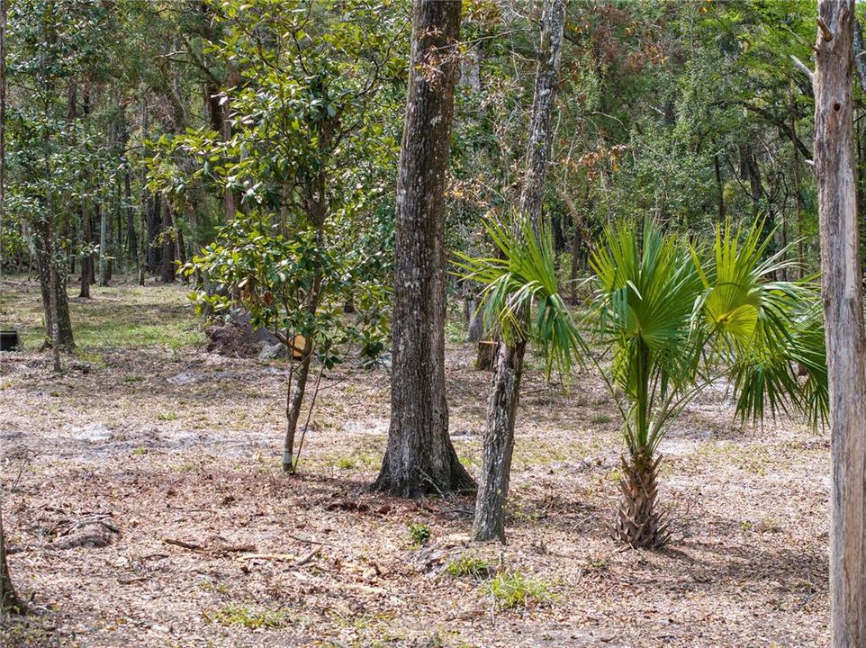 For Sale: $895,000 (1 beds, 1 baths, 400 Square Feet)