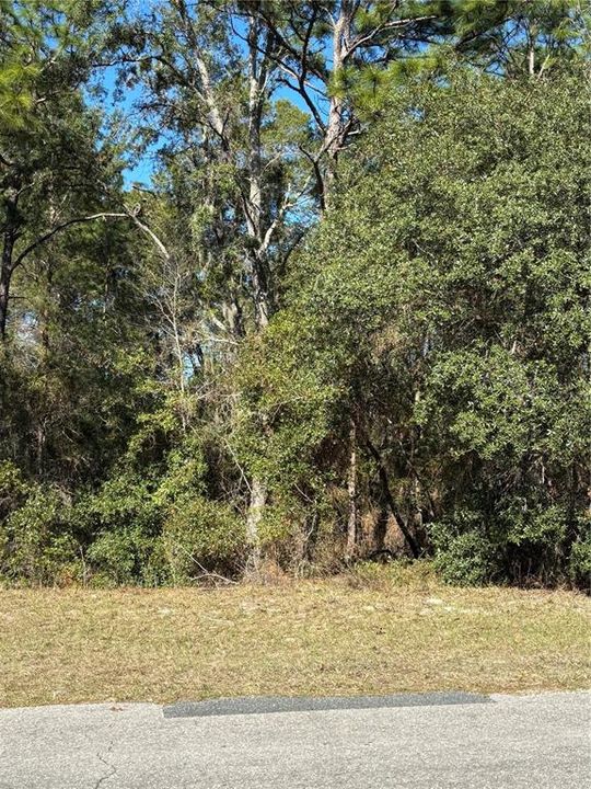For Sale: $59,999 (0.23 acres)