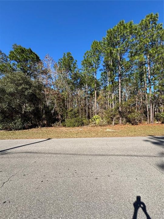 For Sale: $59,999 (0.23 acres)