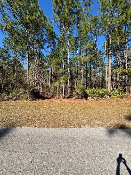 For Sale: $59,999 (0.23 acres)
