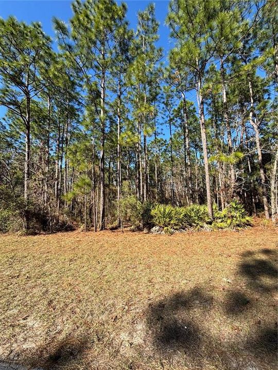 For Sale: $59,999 (0.23 acres)