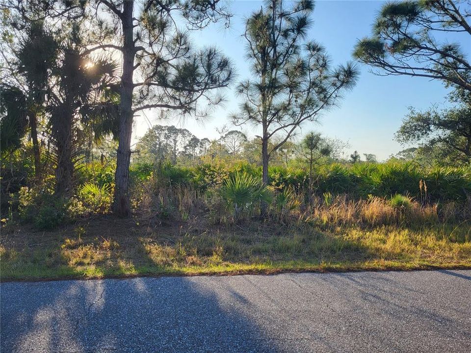 Active With Contract: $13,000 (0.23 acres)