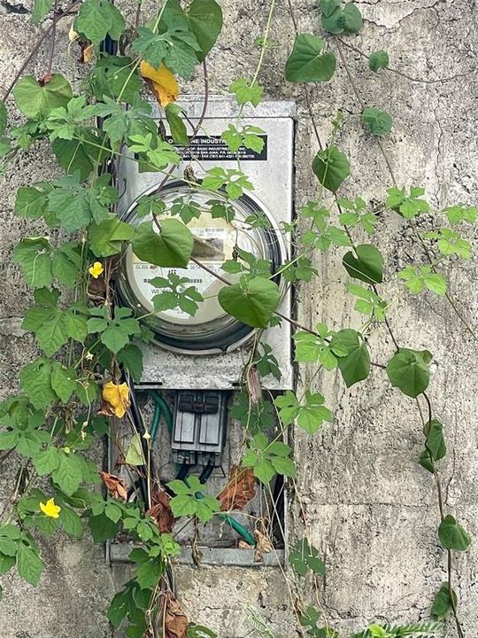 На продажу: $149,000 (0.75 acres)