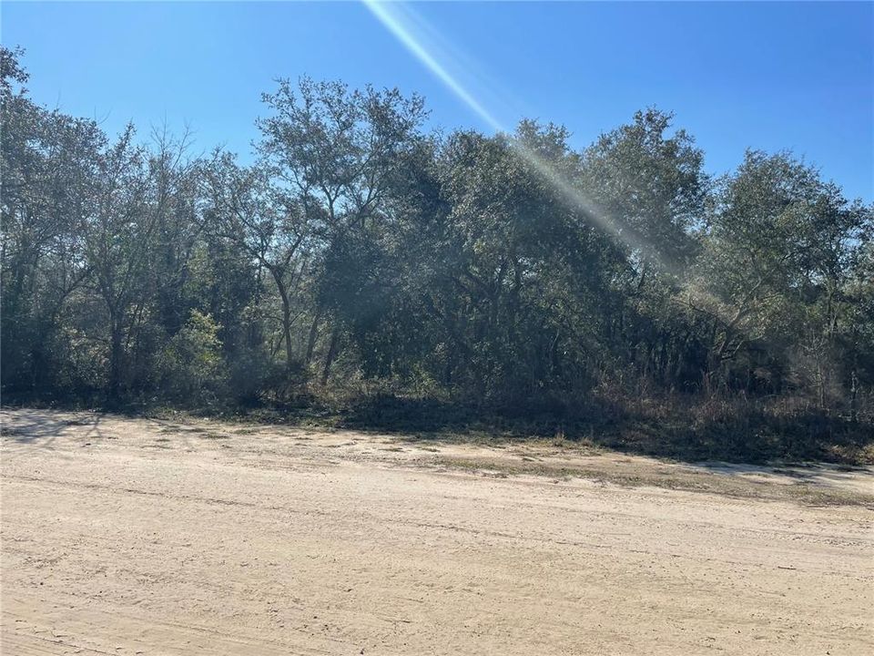 最近售出: $29,500 (1.25 acres)