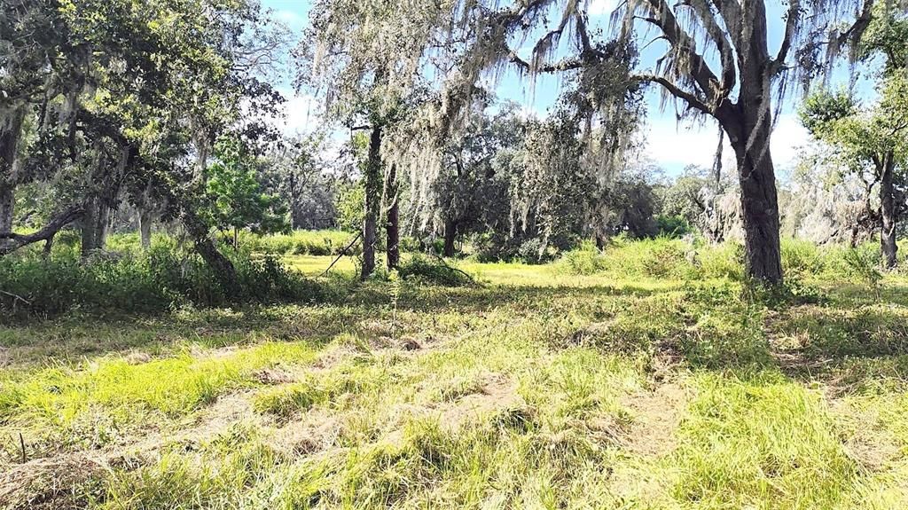 For Sale: $448,000 (10.05 acres)