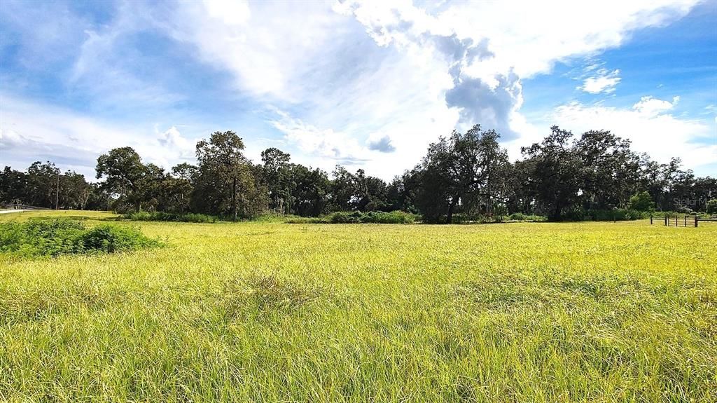 For Sale: $448,000 (10.05 acres)