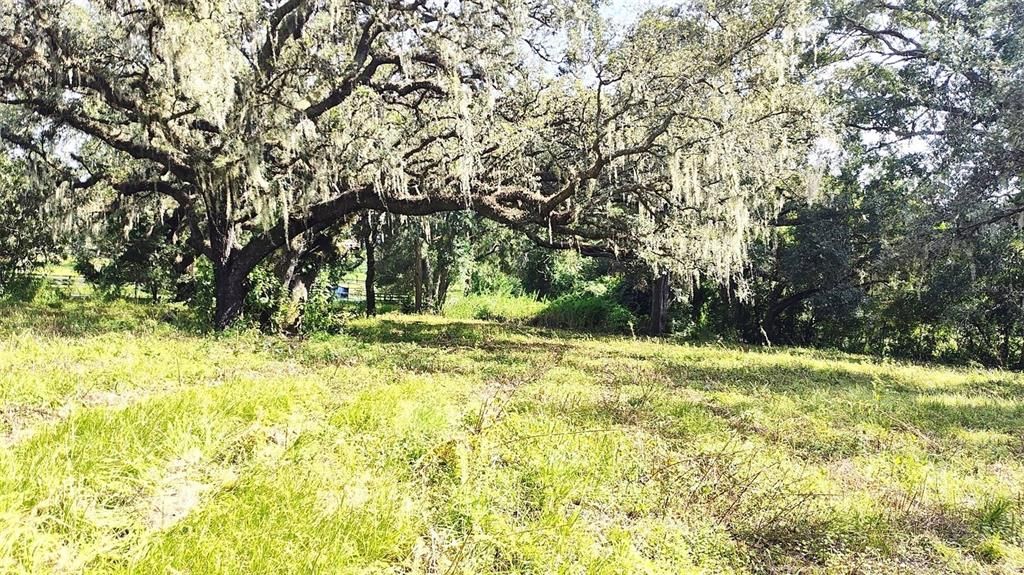 For Sale: $448,000 (10.05 acres)