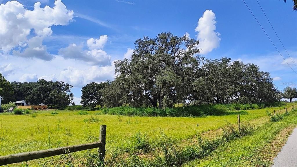 For Sale: $448,000 (10.05 acres)