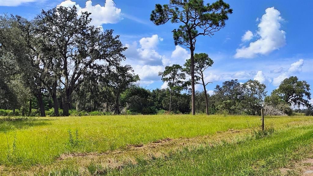For Sale: $448,000 (10.05 acres)