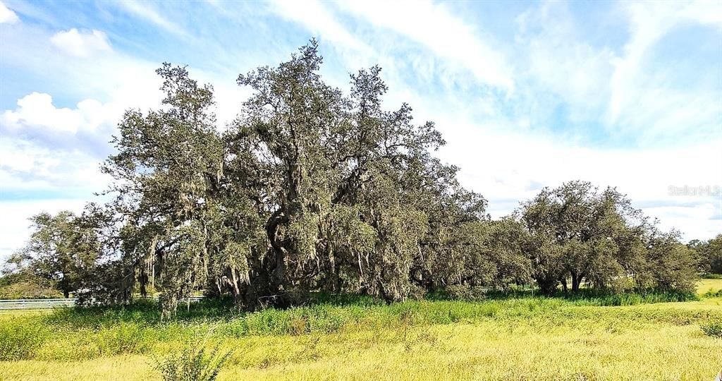 For Sale: $448,000 (10.05 acres)