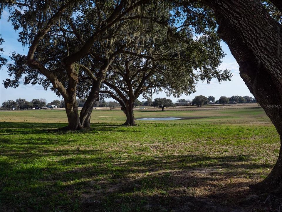 For Sale: $1,432,500 (30.00 acres)