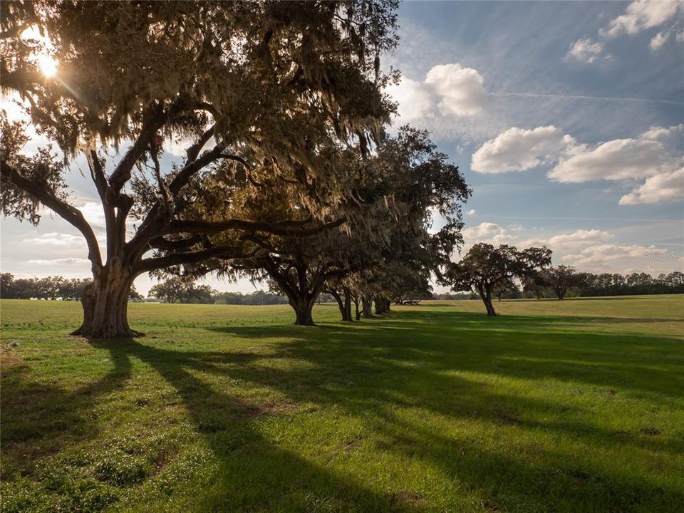 For Sale: $1,432,500 (30.00 acres)