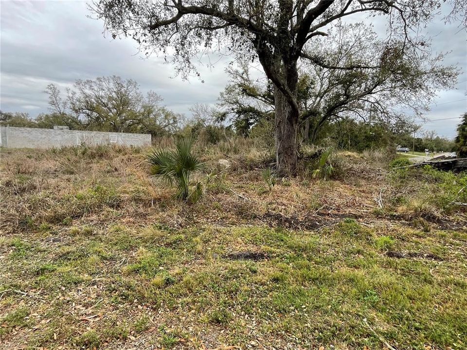 待售: $65,000 (0.24 acres)