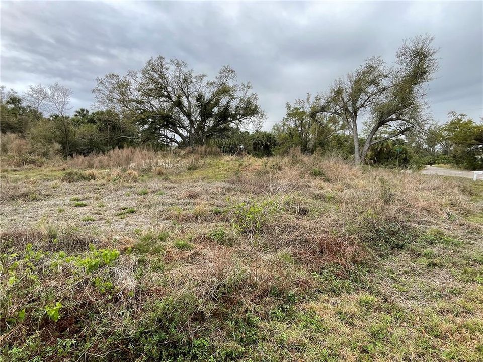 待售: $65,000 (0.24 acres)