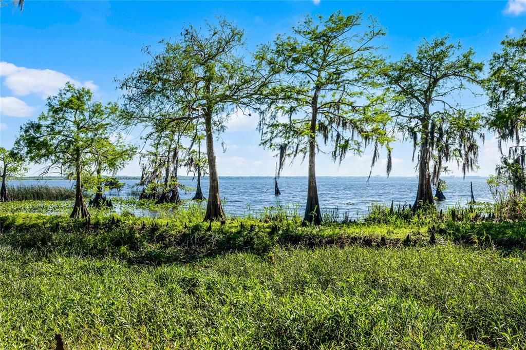 待售: $1,149,000 (4 贝兹, 3 浴室, 3021 平方英尺)