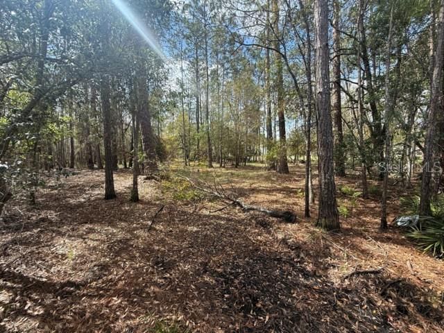 En Venta: $120,000 (1.01 acres)