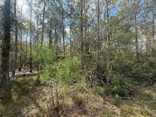 En Venta: $120,000 (1.01 acres)